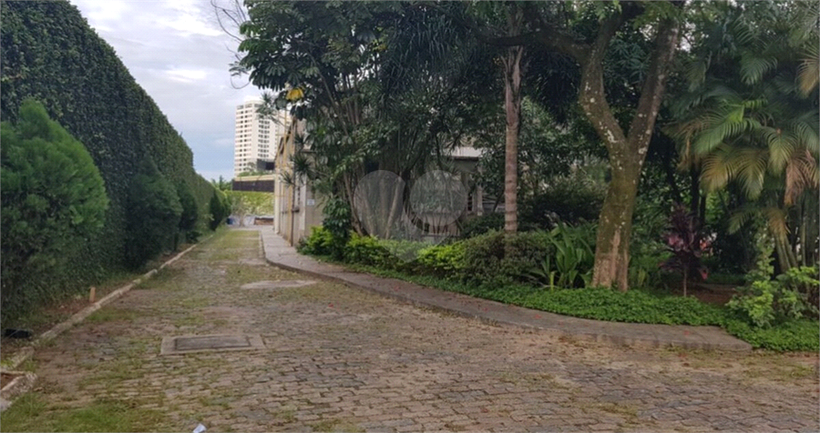 Foto REO1084598