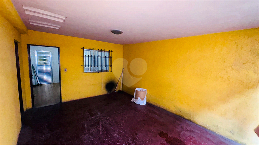 Foto REO1084625