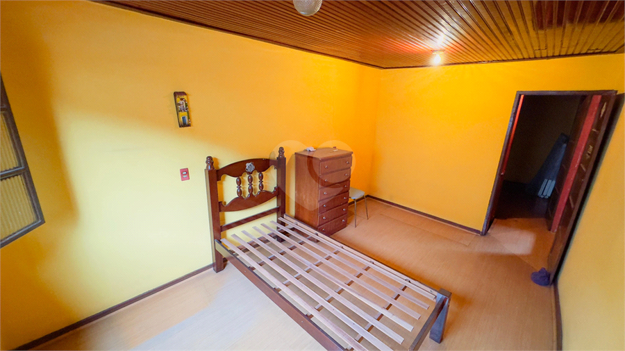 Foto REO1084625