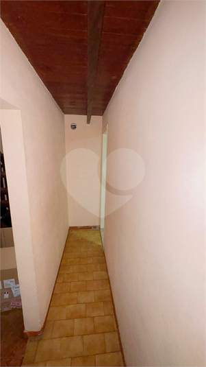 Foto REO1084625