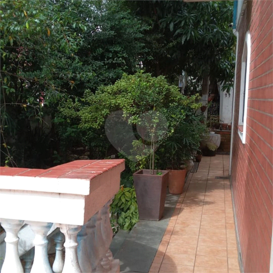 Foto REO1084634