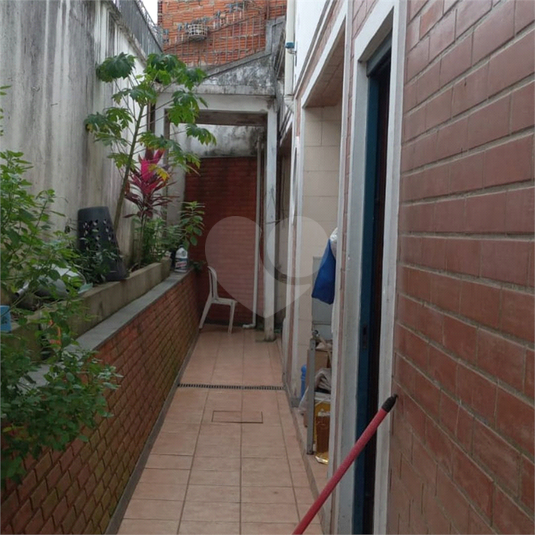 Foto REO1084634