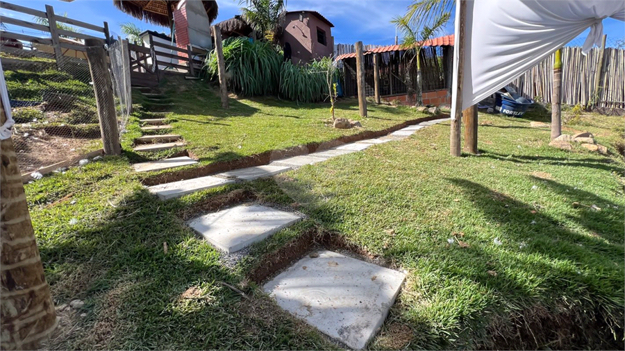 Foto REO1084648