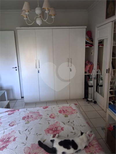 Foto REO1084650