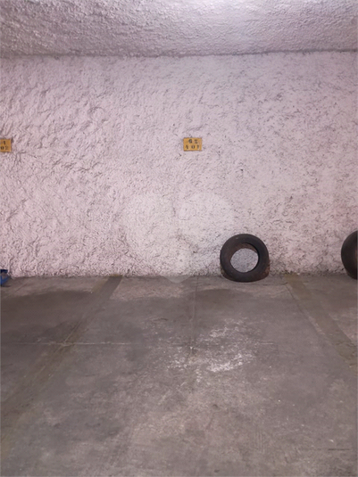 Foto REO1084685