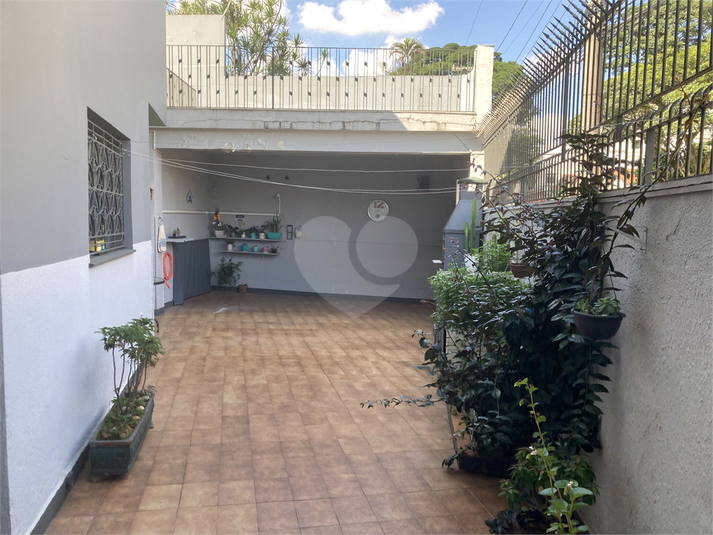Foto REO1084740