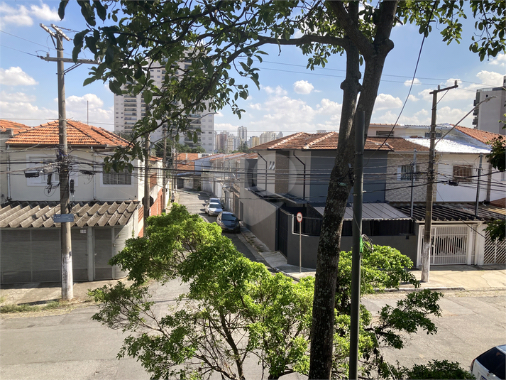 Foto REO1084740