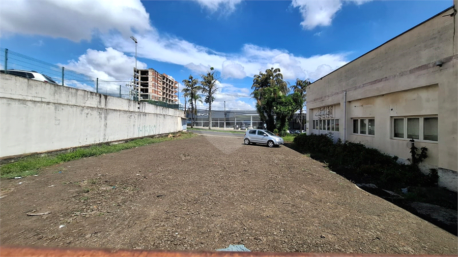 Foto REO1084743