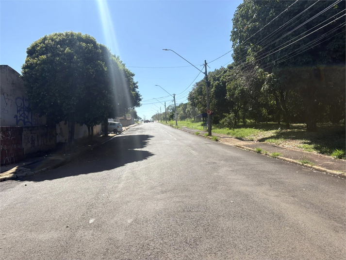 Foto REO1084752