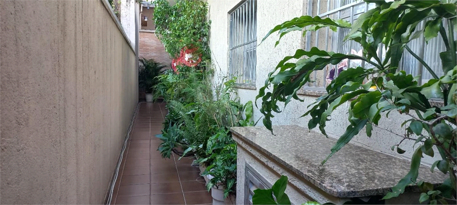 Foto REO1084753