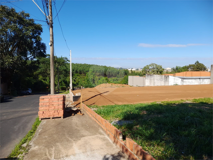 Foto REO1084763