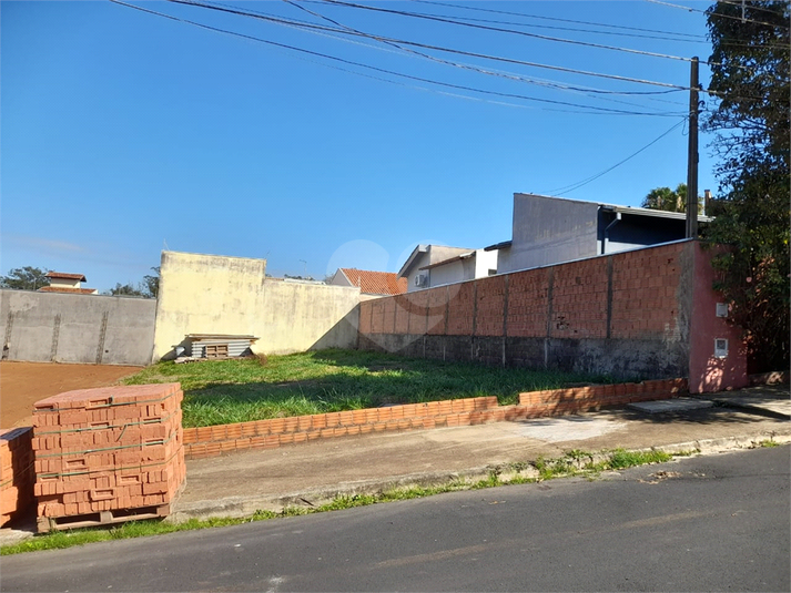 Foto REO1084763