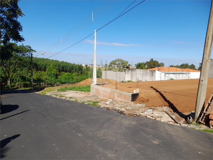 Foto REO1084763