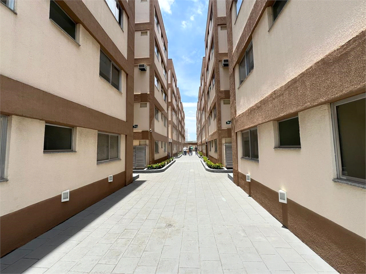 Foto REO1084772