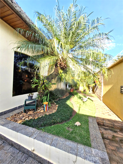 Foto REO1084773
