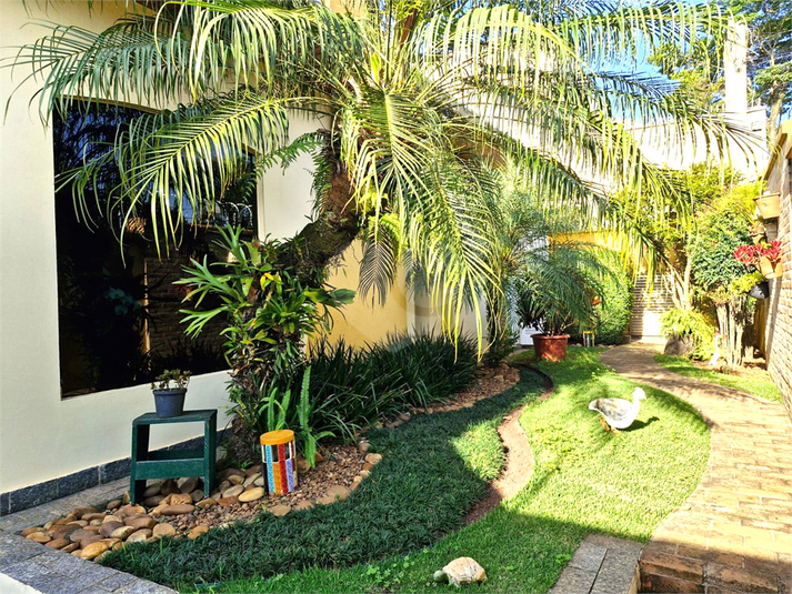 Foto REO1084773
