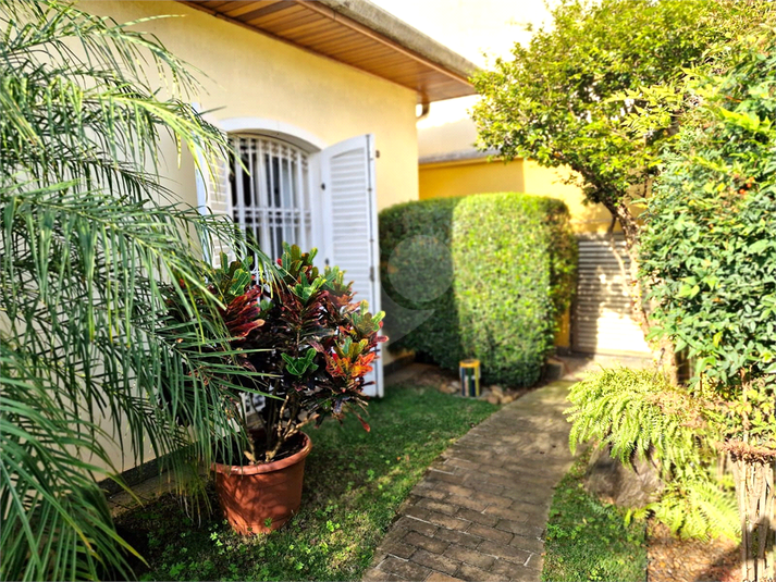 Foto REO1084773