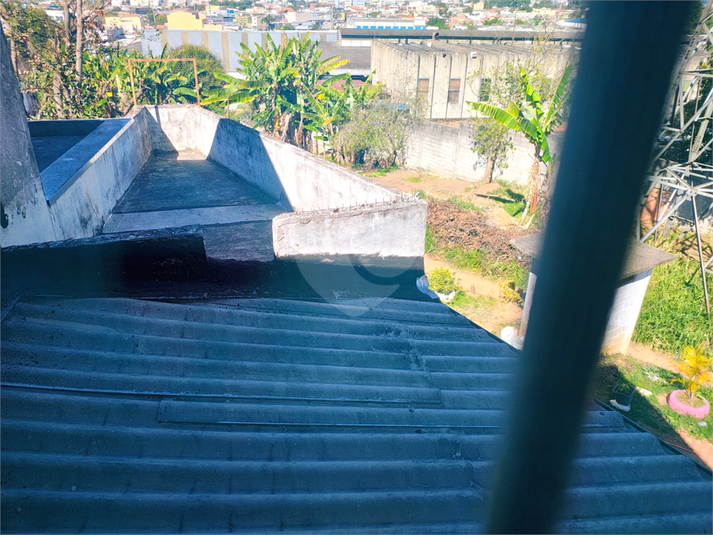 Foto REO1084812