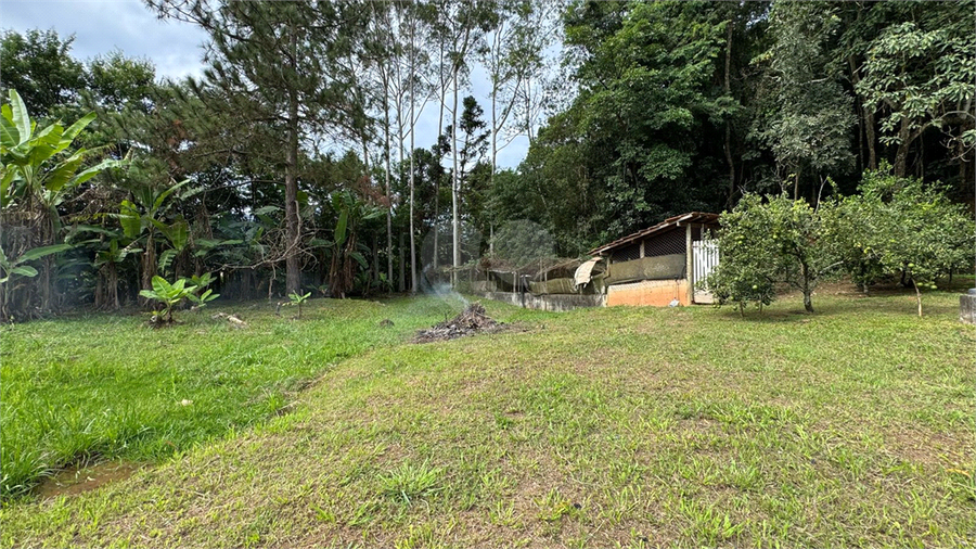 Foto REO1084830