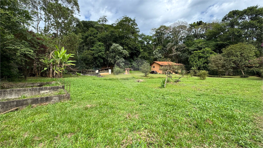 Foto REO1084830