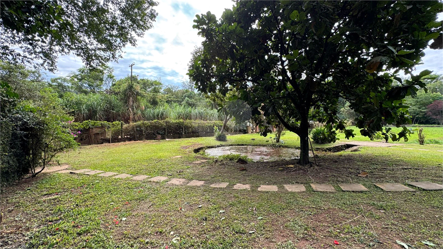 Foto REO1084830