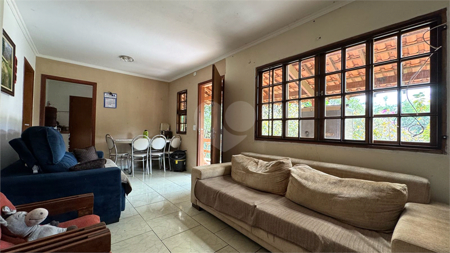 Foto REO1084830