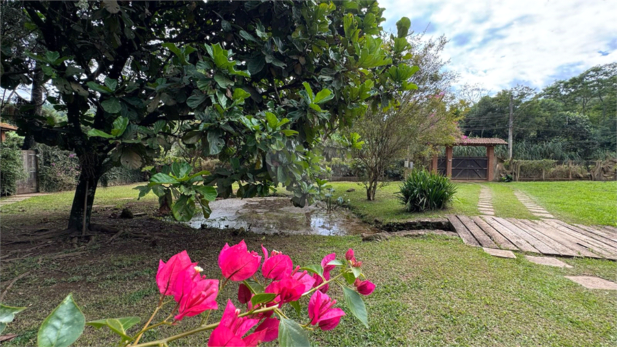 Foto REO1084830