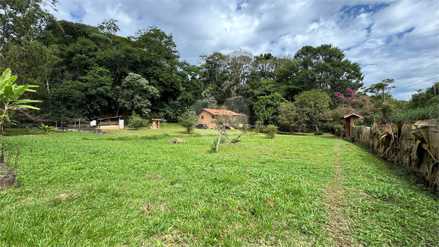 Foto REO1084830