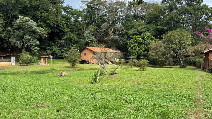Foto REO1084830