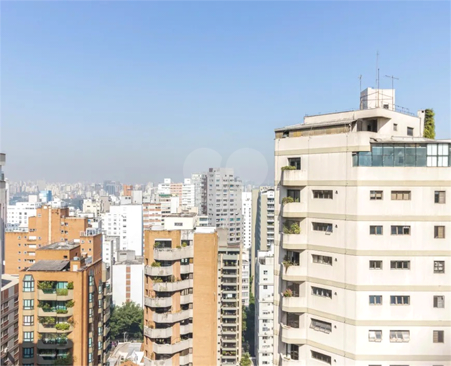 Foto REO1084832