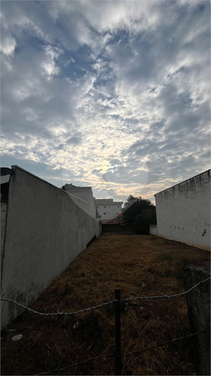 Foto REO1084838