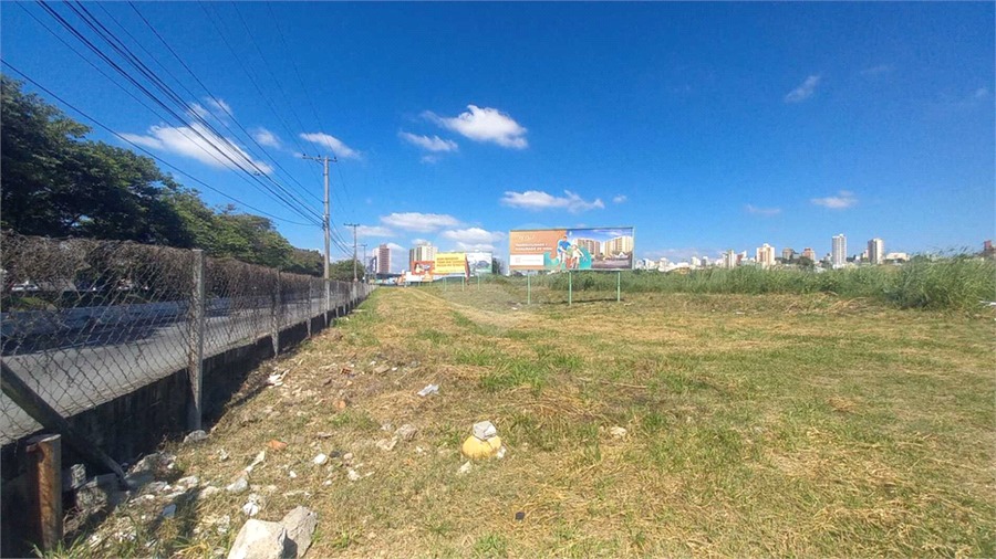 Foto REO1084869