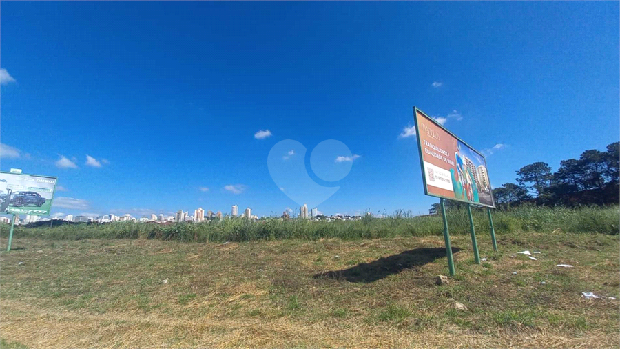 Foto REO1084869