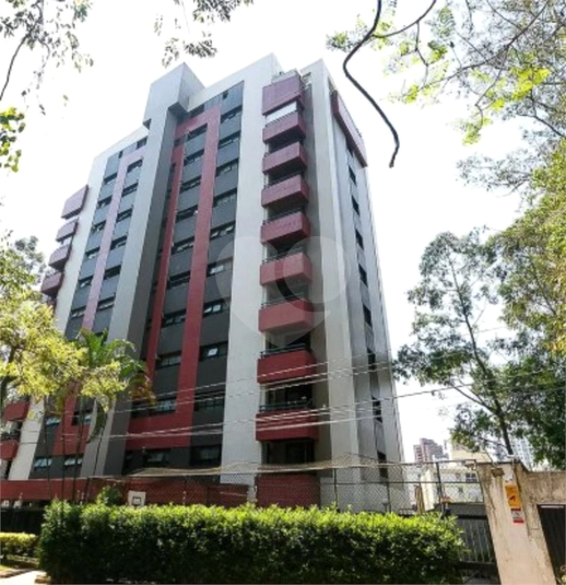 Foto REO1084888
