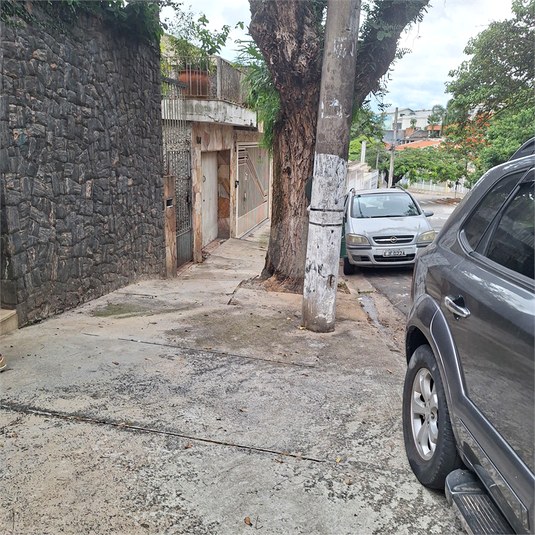 Foto REO1084889