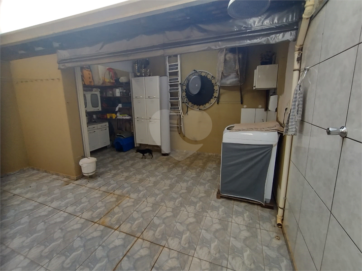 Foto REO1084910