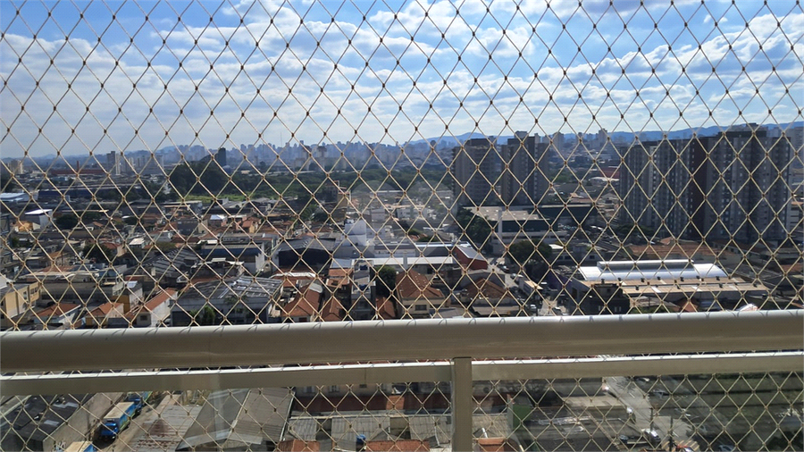 Foto REO1084931