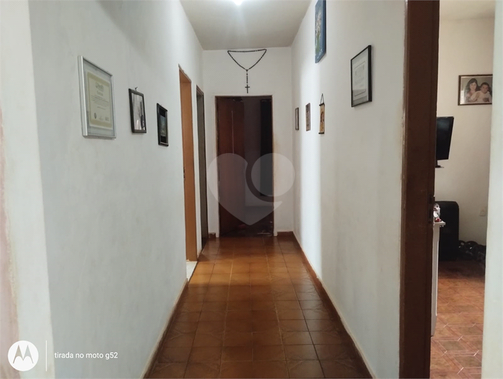 Foto REO1084950