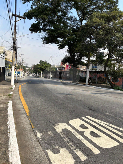 Foto REO1085042