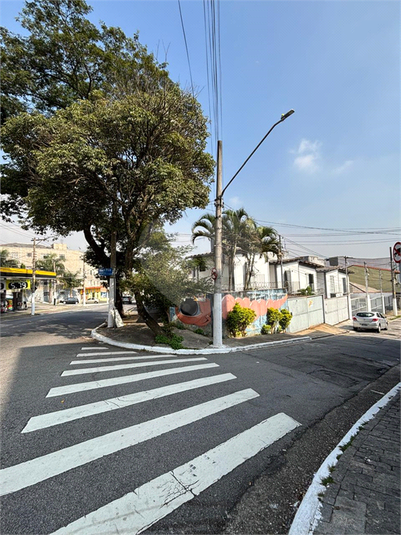 Foto REO1085042