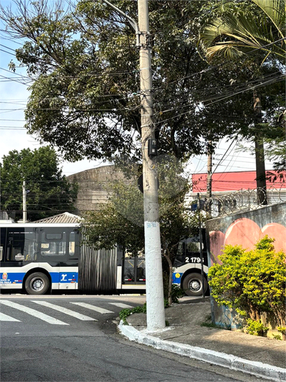 Foto REO1085042