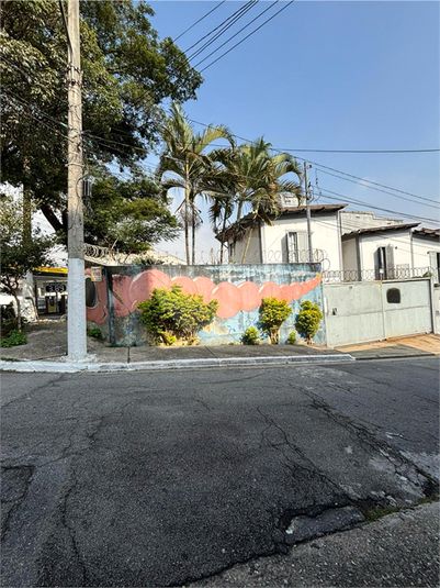 Foto REO1085042