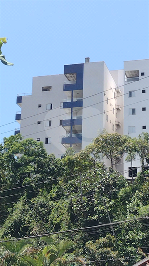 Foto REO1085053