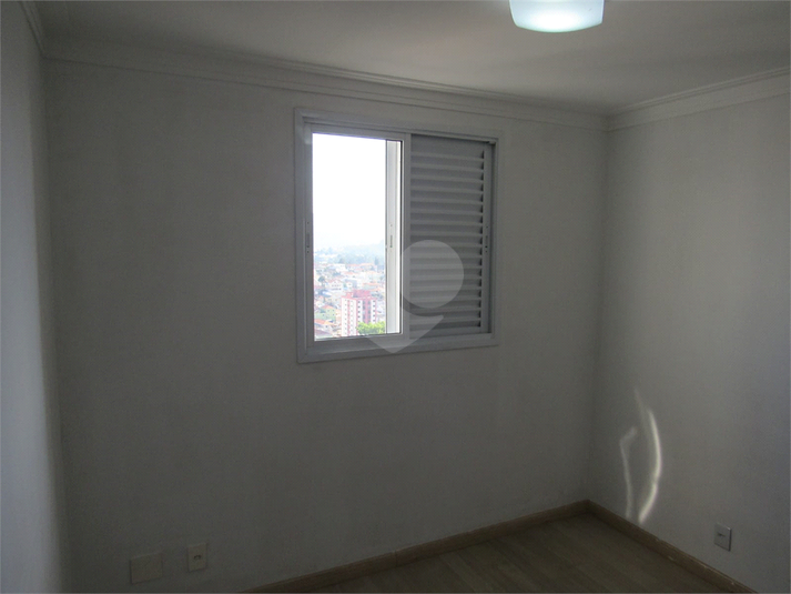 Foto REO1085058