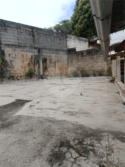 Foto REO1085061