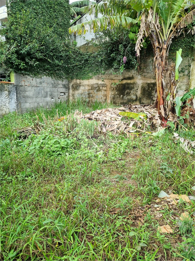 Foto REO1085099