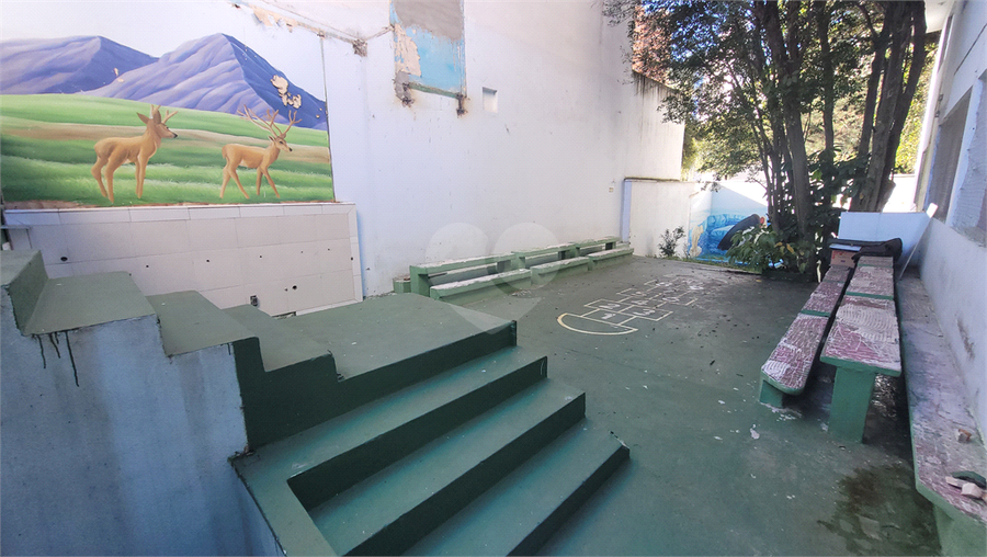Foto REO1085109
