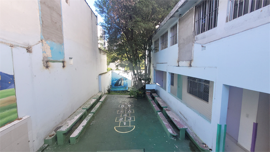 Foto REO1085109