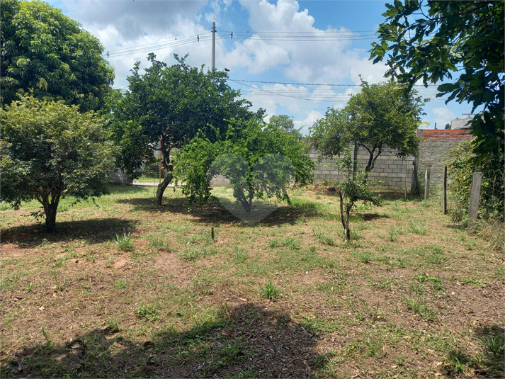 Foto REO1085142