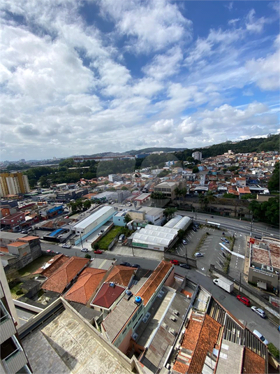 Foto REO1085197